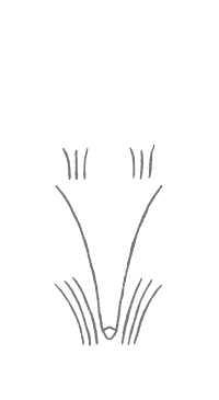 だしいなり 海木